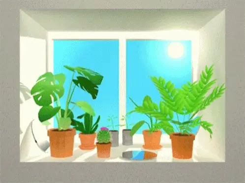 window-plants.gif